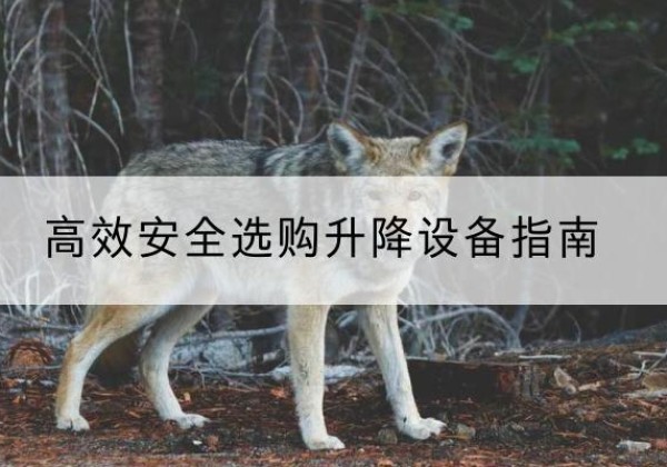 广饶升降货梯厂家推荐-*安全选购升降设备指南