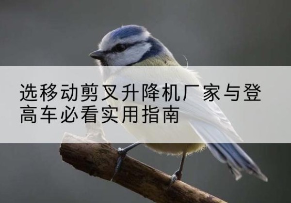 广饶电动升降机厂家-选移动剪叉升降机厂家与登高车必看实用指南