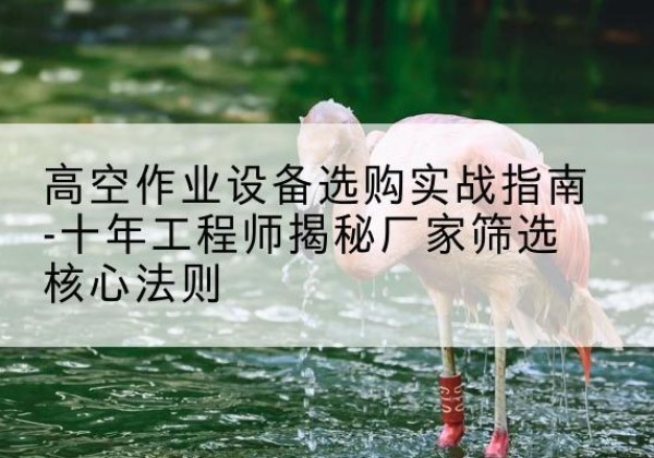 广饶剪叉式升降机厂家-高空作业设备选购实战指南-十年工程师揭秘厂家筛选核心法则