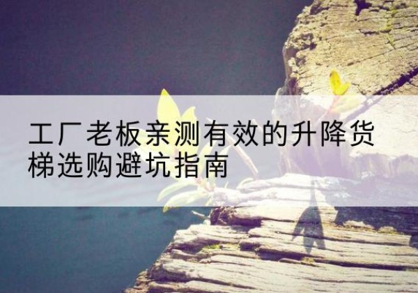 广饶升降货梯怎么选-工厂老板亲测有效的升降货梯选购避坑指南